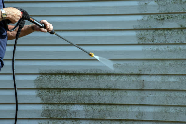 Best Residential House Exterior Washing  in Cheswold, DE